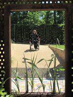 41 festival jardin2 mai2012