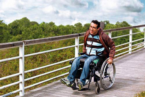 Personne handicapee SNPHP2014