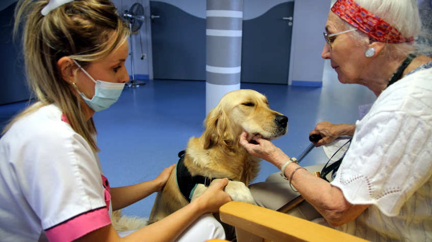 quels sont les symptômes de l'Alzheimer